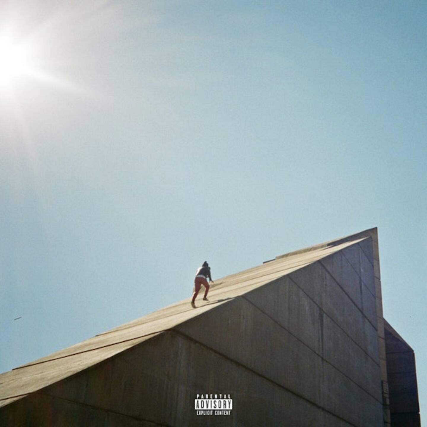 a pigeon is sitting on top of a roof