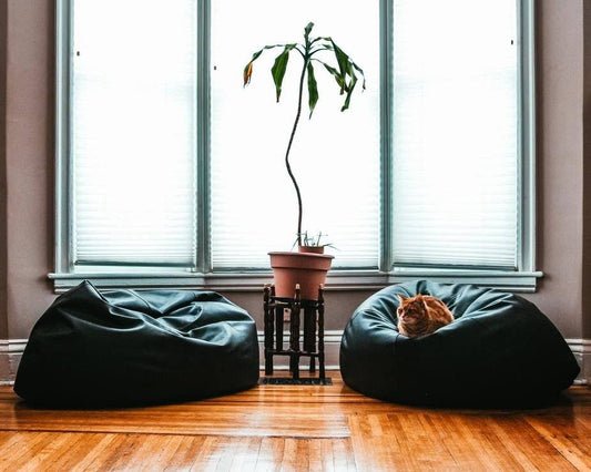 a living room filled with furniture and a potted plant 