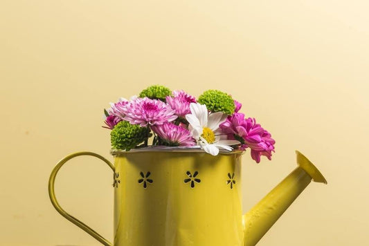 a close up of a vase with flowers in it 