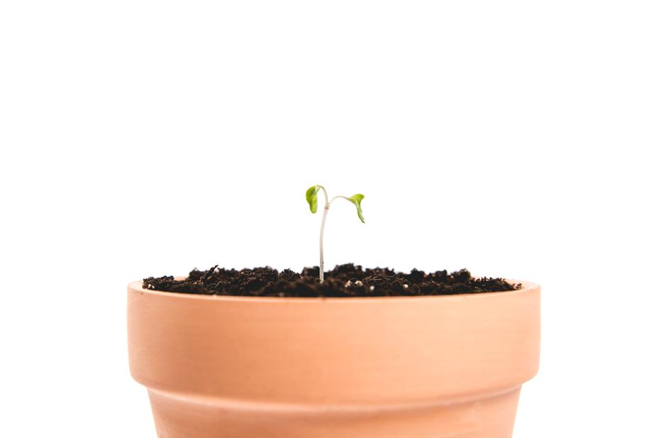 a flower pot is sitting in a flower pot 